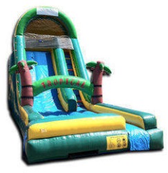 18ft Tropical Wet-Dry Slide