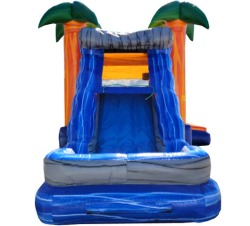 (B) Paradise Combo Wet or Dry - 