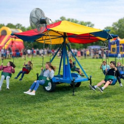 (D) Mechanical Swings - Blue