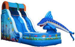 18ft Aquatic Playland Wet-Dry Slide
