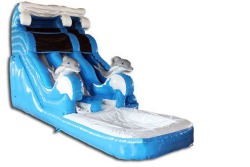 18ft Dolphin Dual Lane Dry Slide