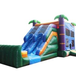 (B) 2 Lane Dry Paradise Combo